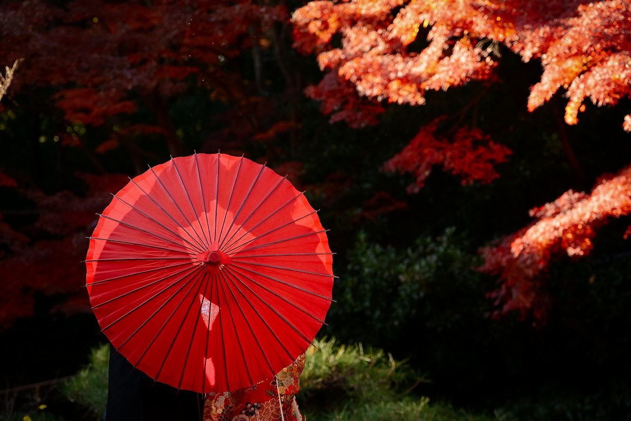 真っ赤な紅葉に囲まれて フォトウェディング 前撮りは名古屋のオシャレなウェディングアベニュー