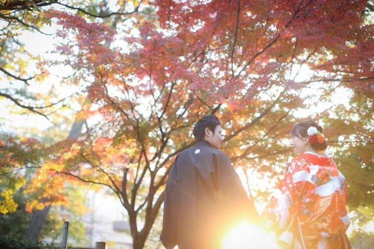 中村公園での紅葉撮影