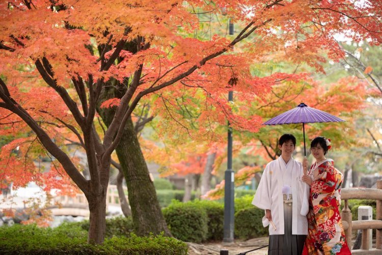 真っ赤な紅葉が美しい撮影