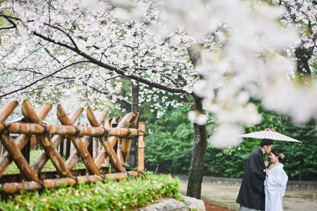 雨でも十分楽しめる本格派日本庭園☆彡満開の桜が彩る幻想時雨フォト…♡