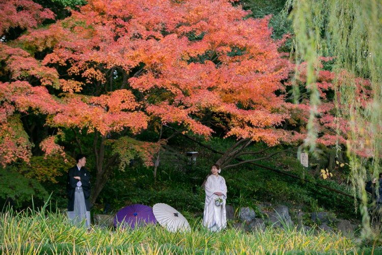 紅葉の下で和傘をはさんで見つめ合う新郎新婦