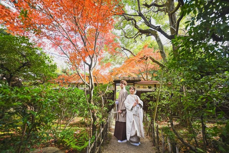 緑と赤に色付く庭園で景色を楽しむ新郎新婦