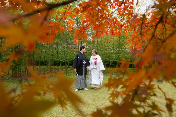 竹林の中で手をつないで紅葉を楽しむ新郎新婦