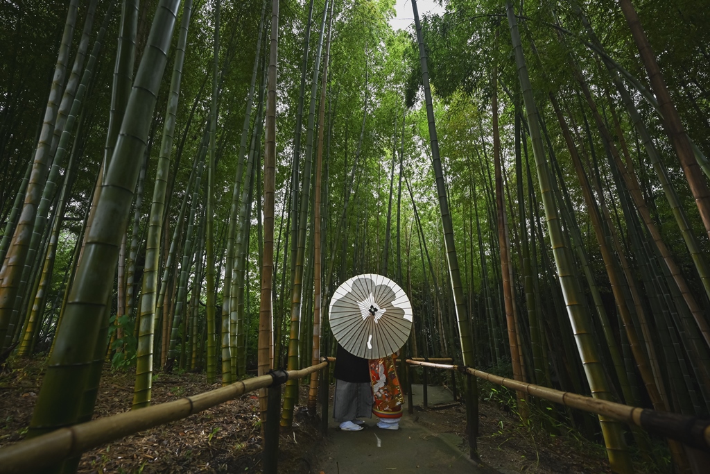 竹林で和傘を使ってシルエットカット