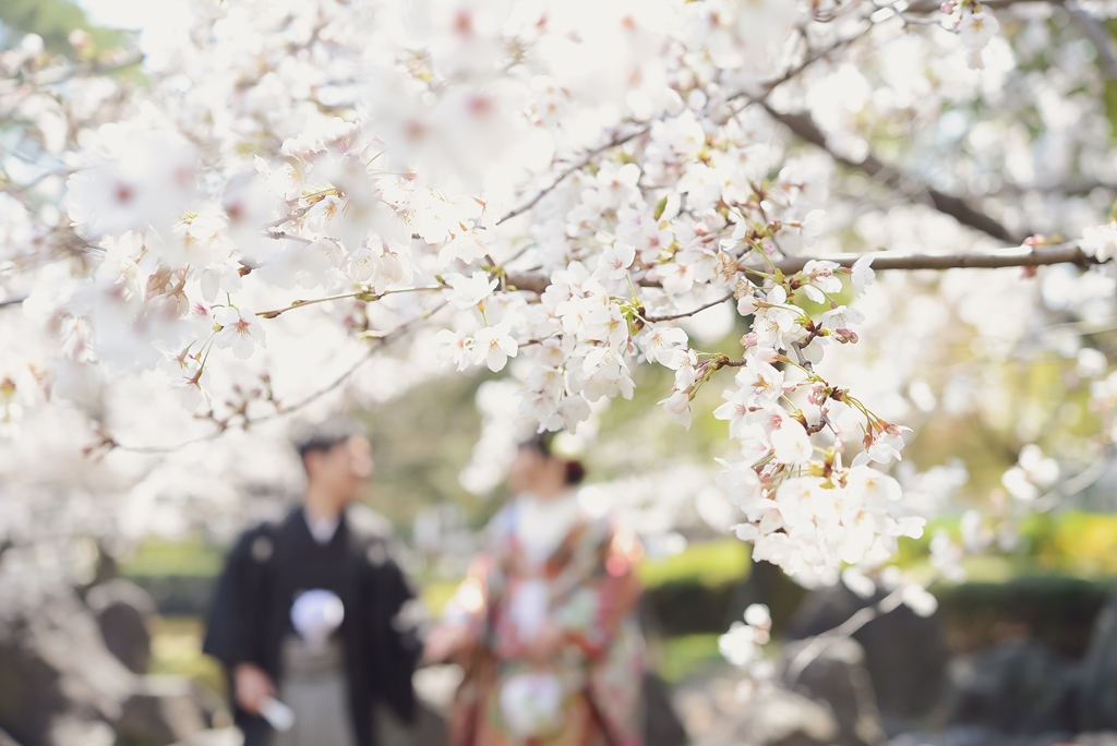 桜の元で記念撮影