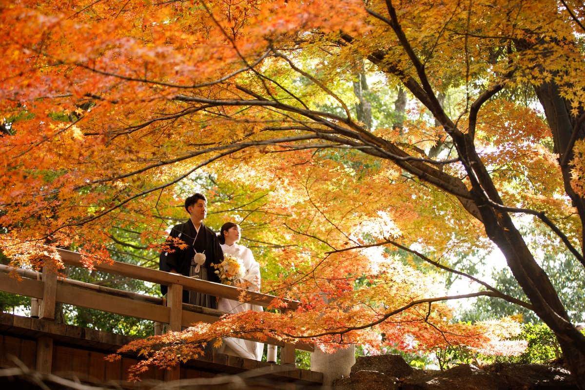 美しすぎる紅葉のもとで過ごす、一生に一度のウェディングフォトタイム