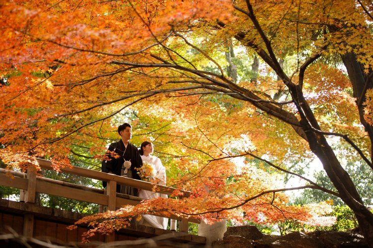 綺麗な紅葉を眺める和装姿の新郎新婦