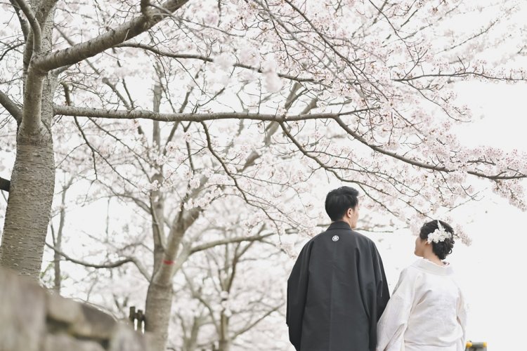 桜の下を仲良く並んで歩く新郎新婦